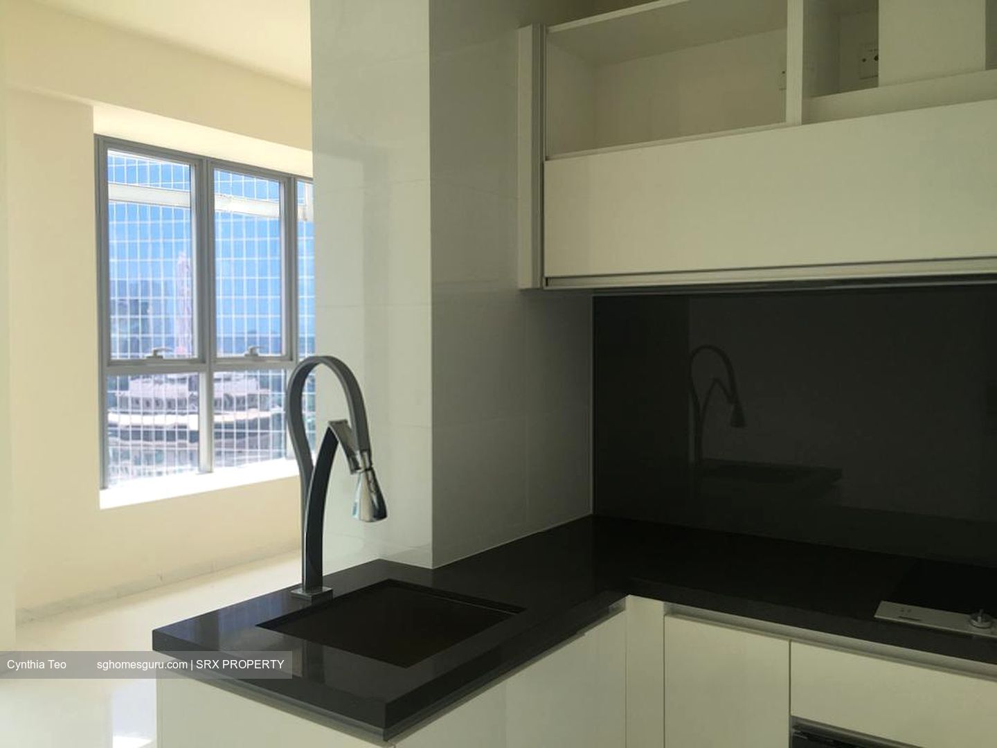 Lincoln Suites (D11), Condominium #403850461